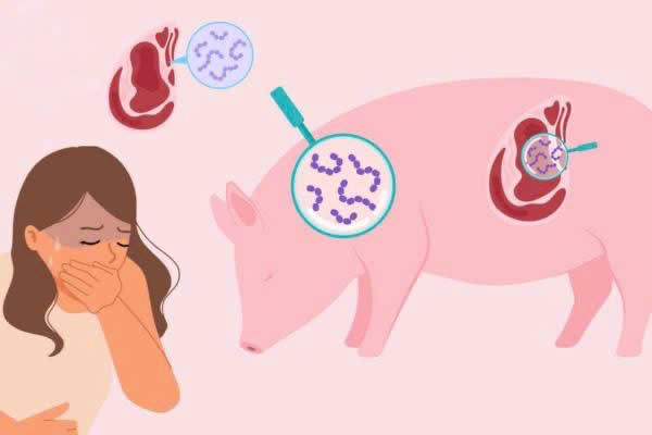 Các biện pháp phòng chống bệnh liên cầu lợn